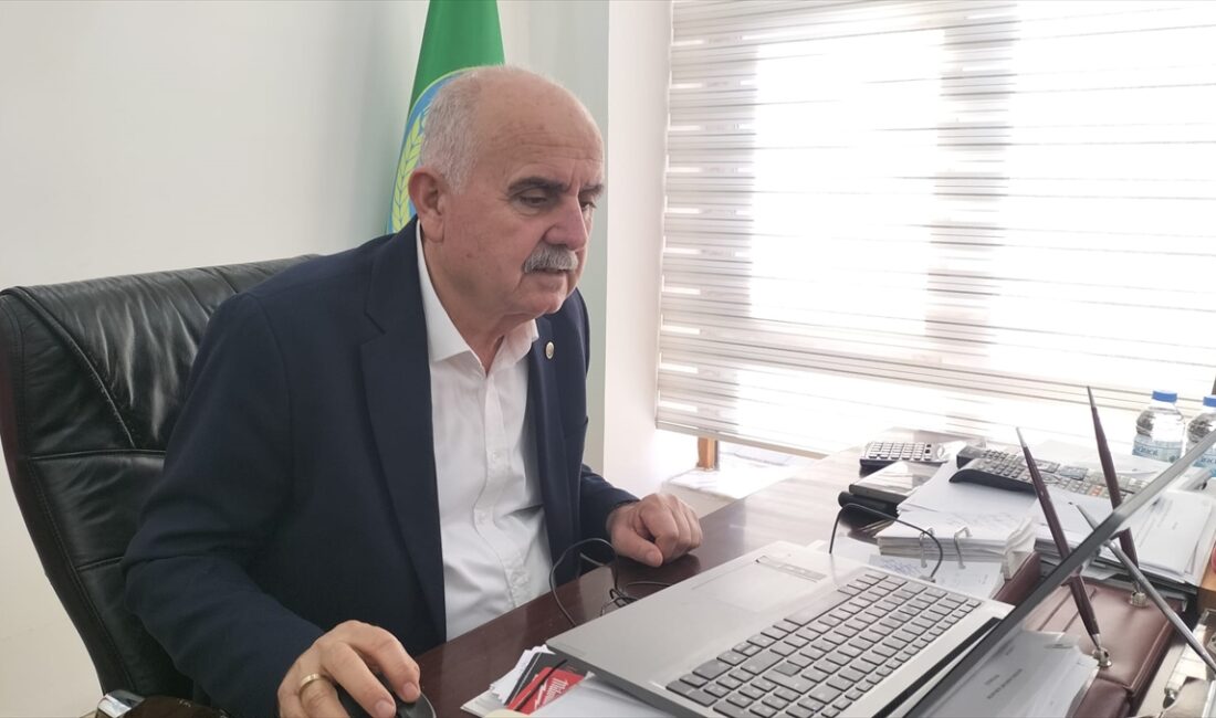 ANTALYA (AA) – Manavgat Ziraat Odası Başkanı Rasim Metin, Anadolu