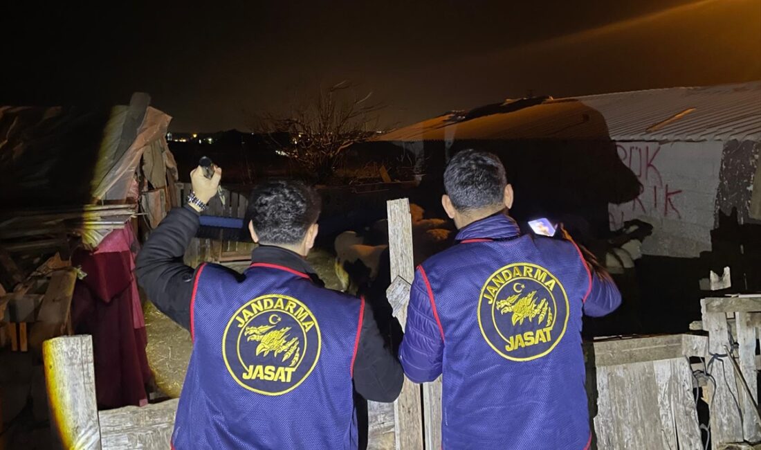 ANTALYA (AA) – Antalya'nın Manavgat ilçesinde küçükbaş hayvan hırsızlığı yaptıkları