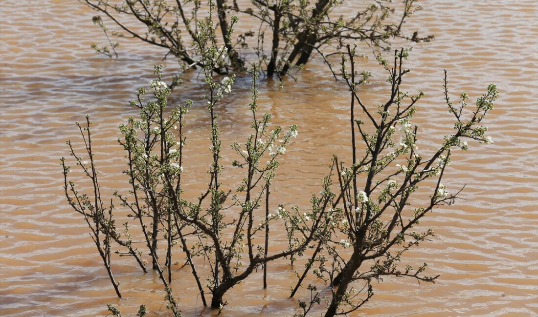 MANİSA (AA) – Manisa'da sağanak ve fırtınanın ardından başlatılan hasar