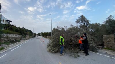 MUĞLA (AA) – Muğla ve ilçelerinde etkili olan fırtına ve