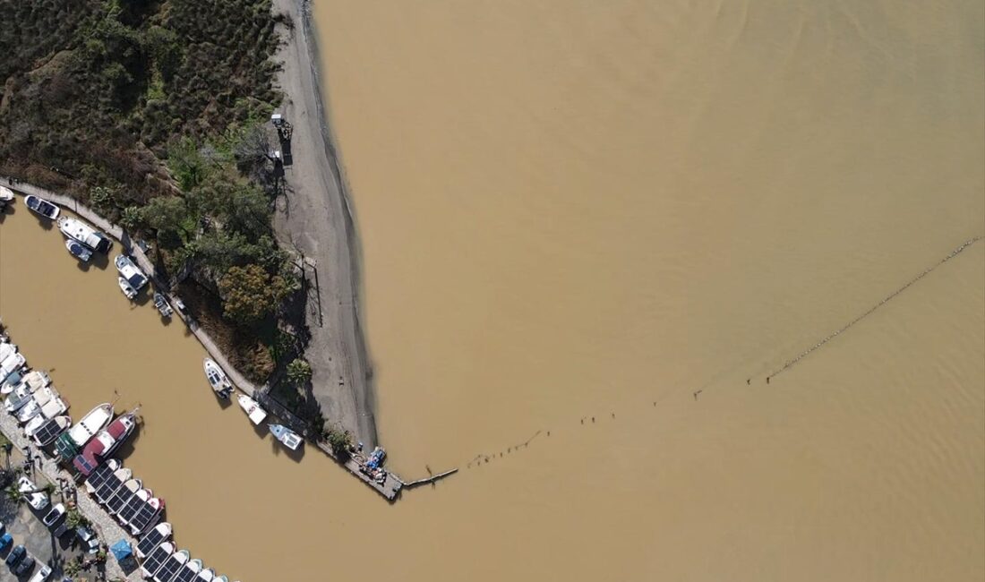 - Dağlardan ve kanallardan akan çamurlu su, Gökova Körfezi'nin rengini