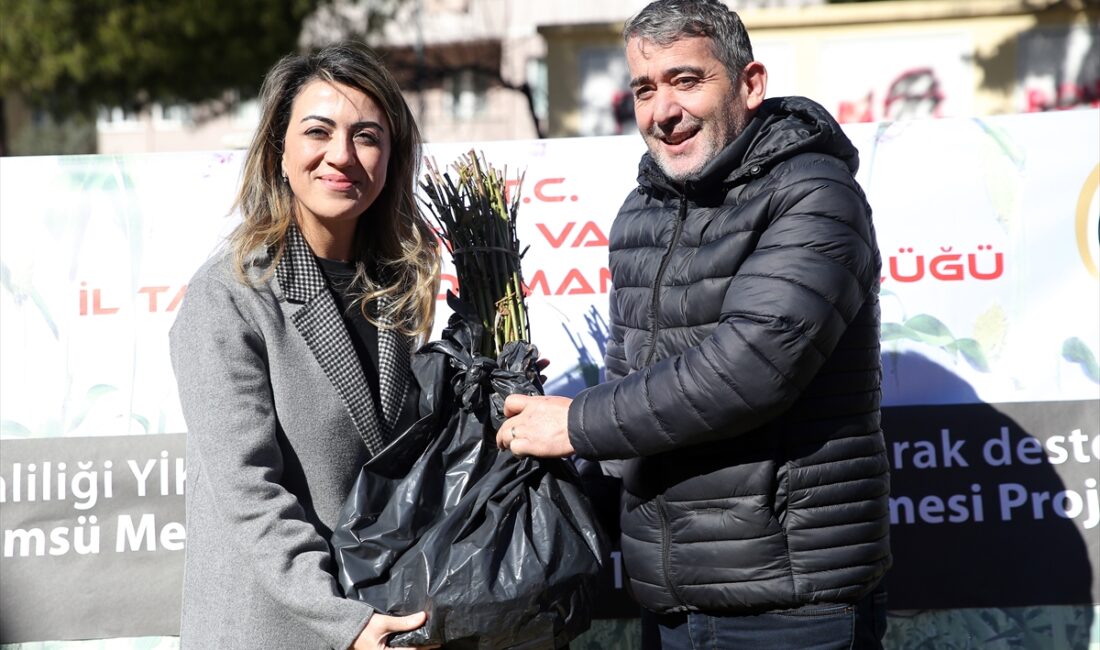 MUĞLA (AA) – Muğla'da düşük maliyet ve yüksek gelir fırsatı