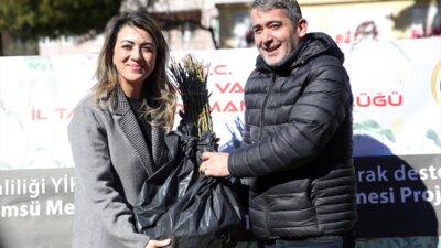 MUĞLA (AA) – Muğla'da düşük maliyet ve yüksek gelir fırsatı