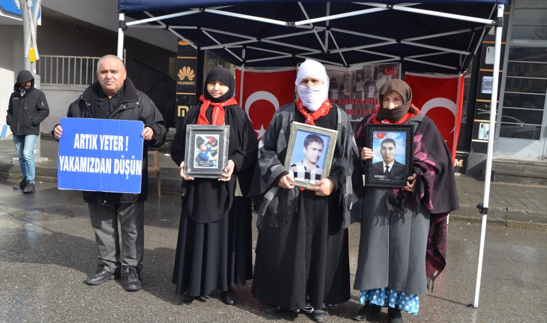 MUŞ (AA) – Muş'ta, çocukları terör örgütü PKK tarafından kaçırılan