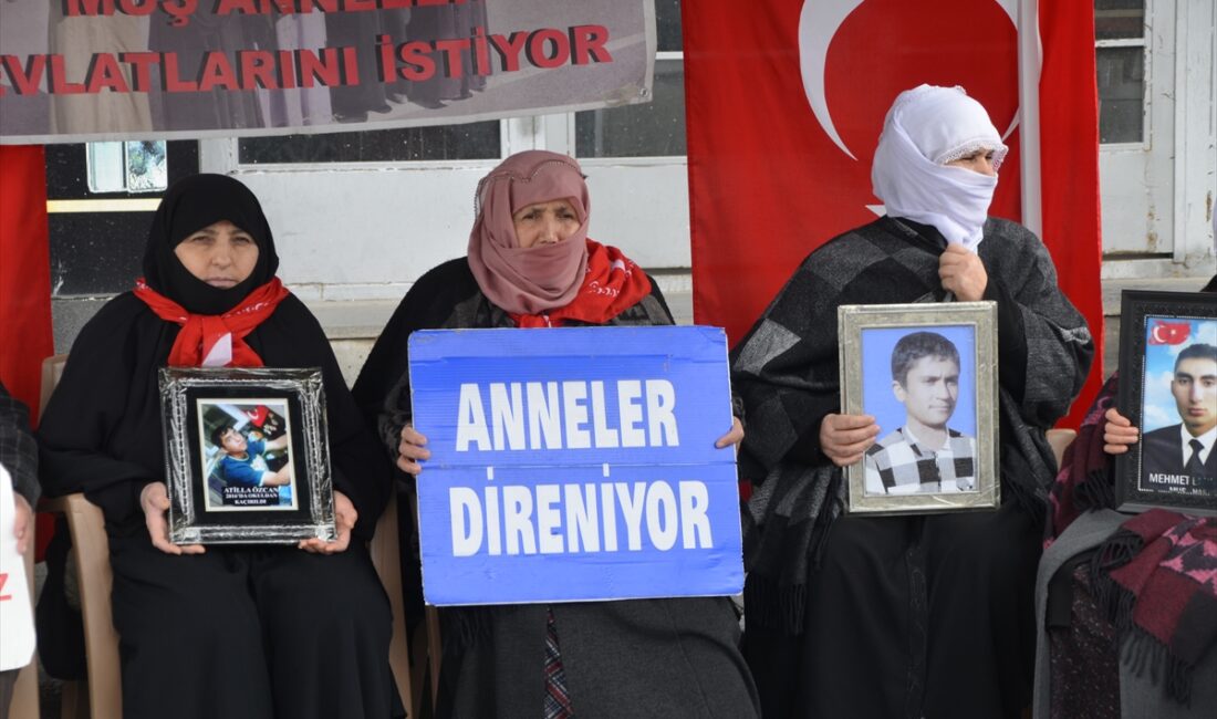 MUŞ (AA) – Muş'ta çocukları terör örgütü PKK tarafından kaçırılan