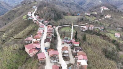ORDU (AA) – Ordu'nun İkizce ilçesi Şentepe ve Samsun'un Terme