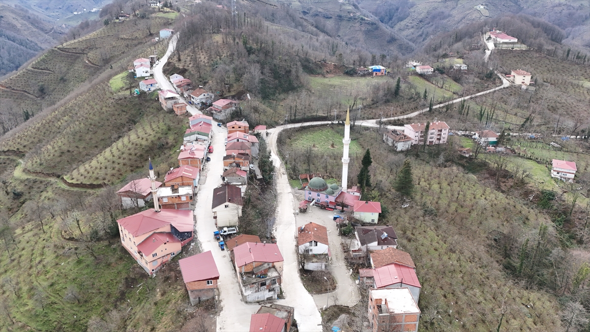 ORDU (AA) – Ordu'nun İkizce ilçesi Şentepe ve Samsun'un Terme