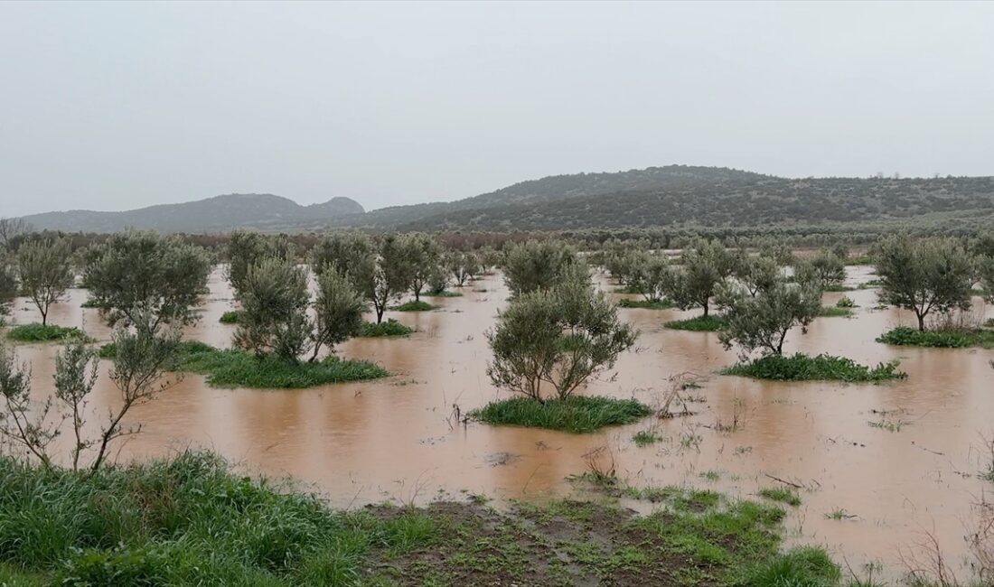 OSMANİYE (AA) – Osmaniye'de etkili olan sağanak nedeniyle bazı evler