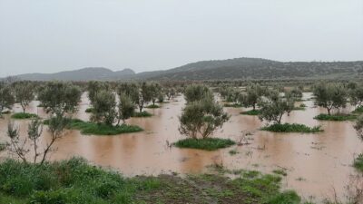 OSMANİYE (AA) – Osmaniye'de etkili olan sağanak nedeniyle bazı evler