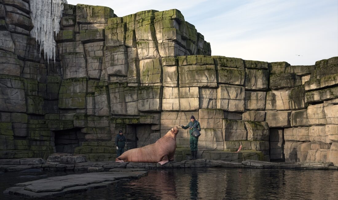 - Sergide, 18 sanatçının 2010'lardan itibaren ürettiği yapıtlar, kapsamlı seçkiyle