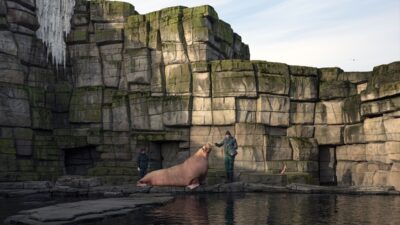 - Sergide, 18 sanatçının 2010'lardan itibaren ürettiği yapıtlar, kapsamlı seçkiyle