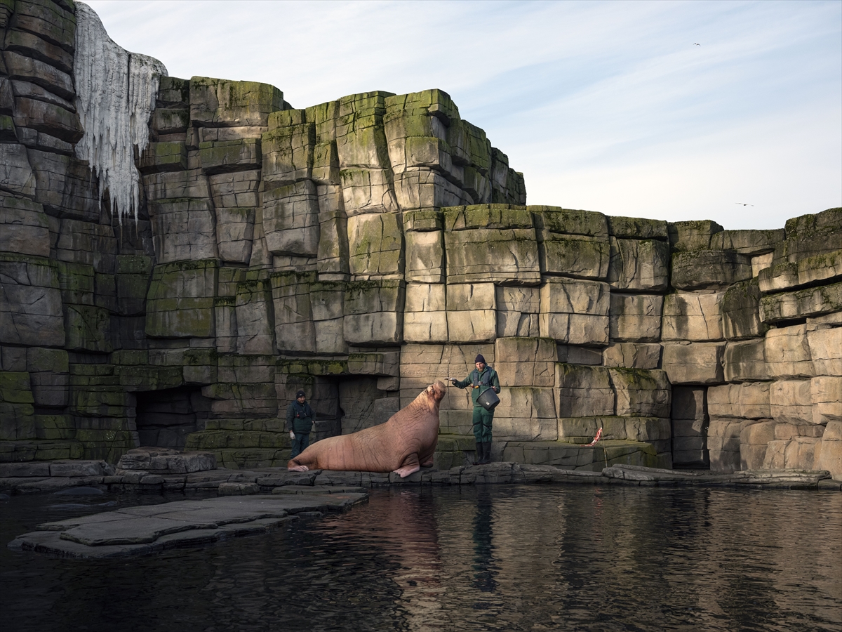 - Sergide, 18 sanatçının 2010'lardan itibaren ürettiği yapıtlar, kapsamlı seçkiyle