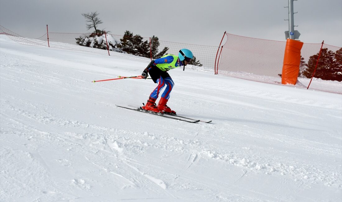 KARS (AA) – Türkiye Kayak Federasyonu 2025-2026 faaliyet programında yer