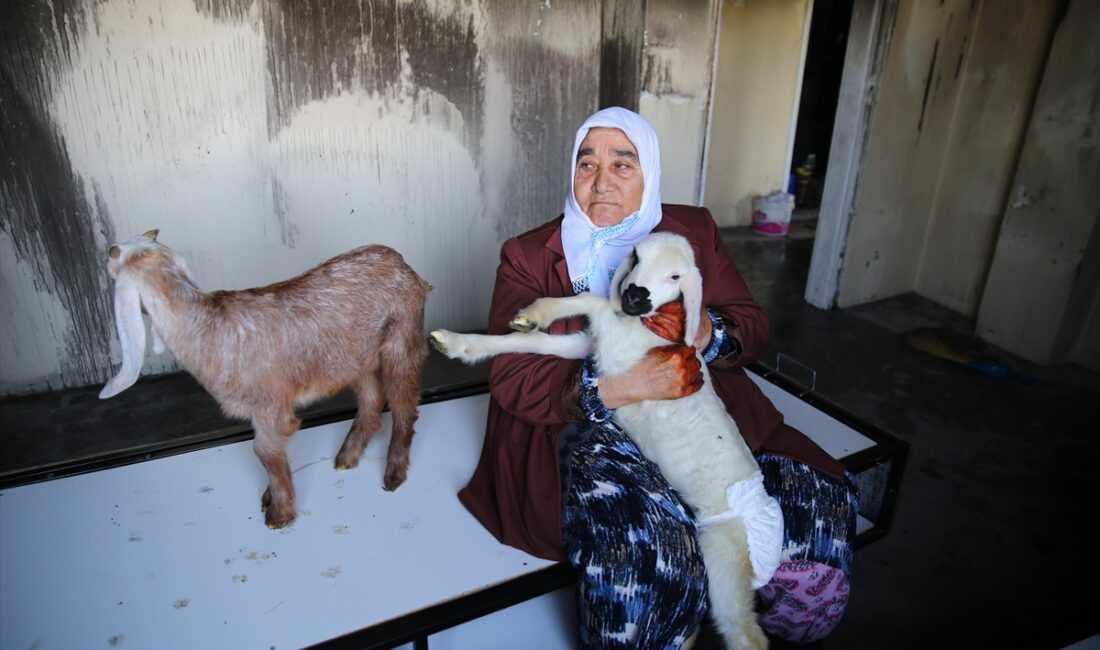 - Adana'da şehit polis memuru Cuma Ali Hakan'ın annesinin evde