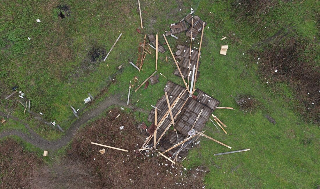 SİNOP (AA) – Sinop'un Türkeli ilçesinde kovanların yerleştirildiği arılığın kuvvetli