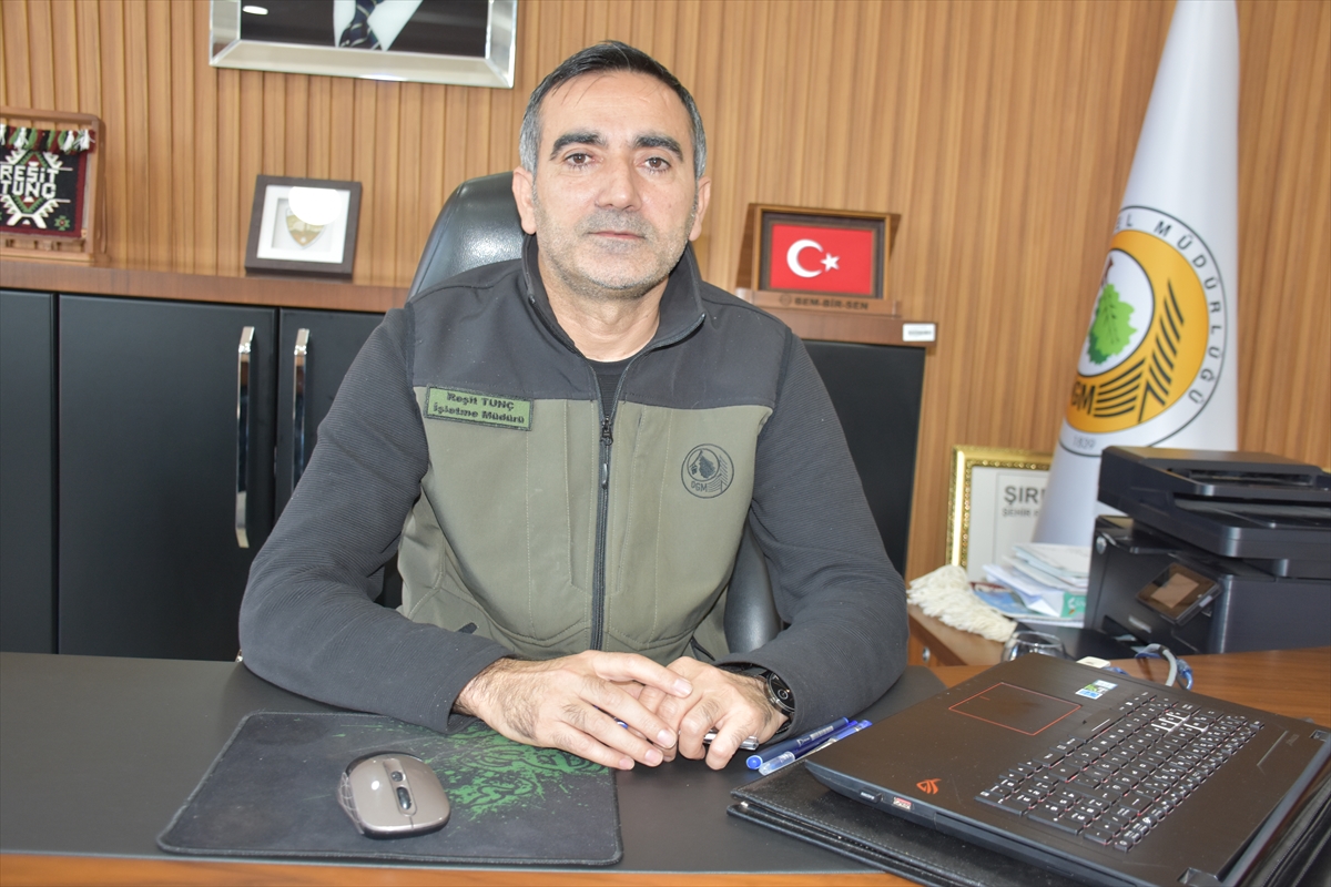 ŞIRNAK (AA) – Şırnak Orman İşletme Müdürü Reşit Tunç, Anadolu