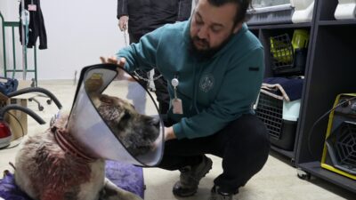 - Uzman veteriner hekim Atilla Dulkadir:
- "Aldığımız kitle 5,8 kilogram