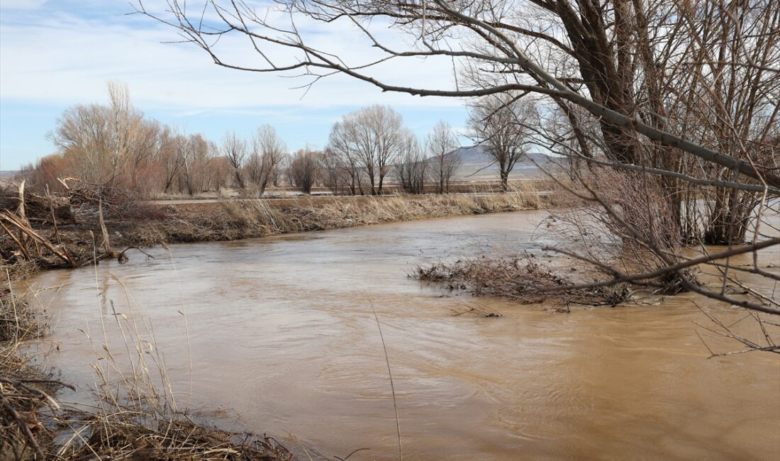 SİVAS (AA) – Sivas'ın Ulaş ilçesinde yaklaşık 10 bin dönüm