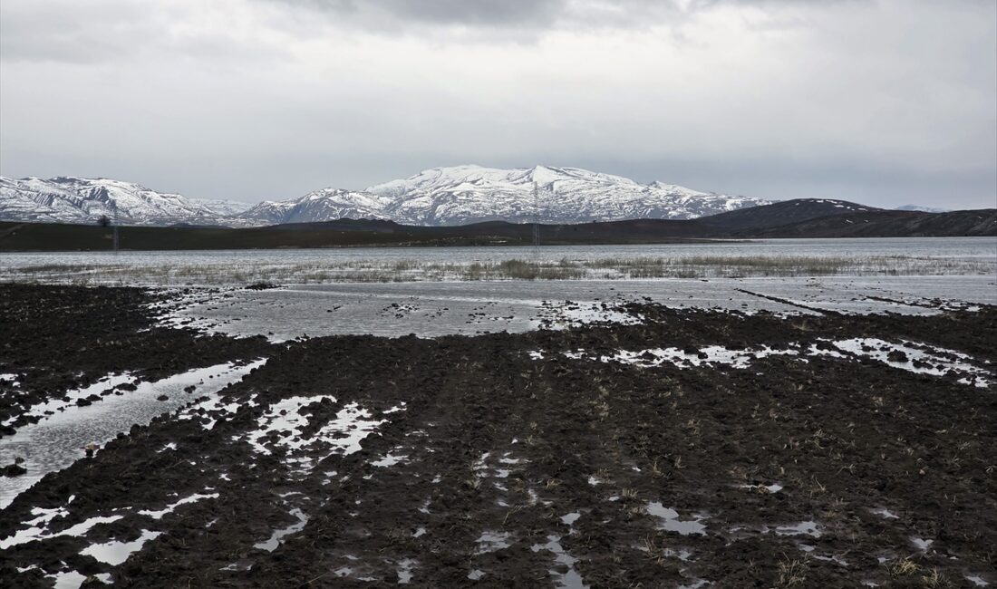 SİVAS (AA) – Sivas'ın Hafik ve Zara ilçeleri arasında yer