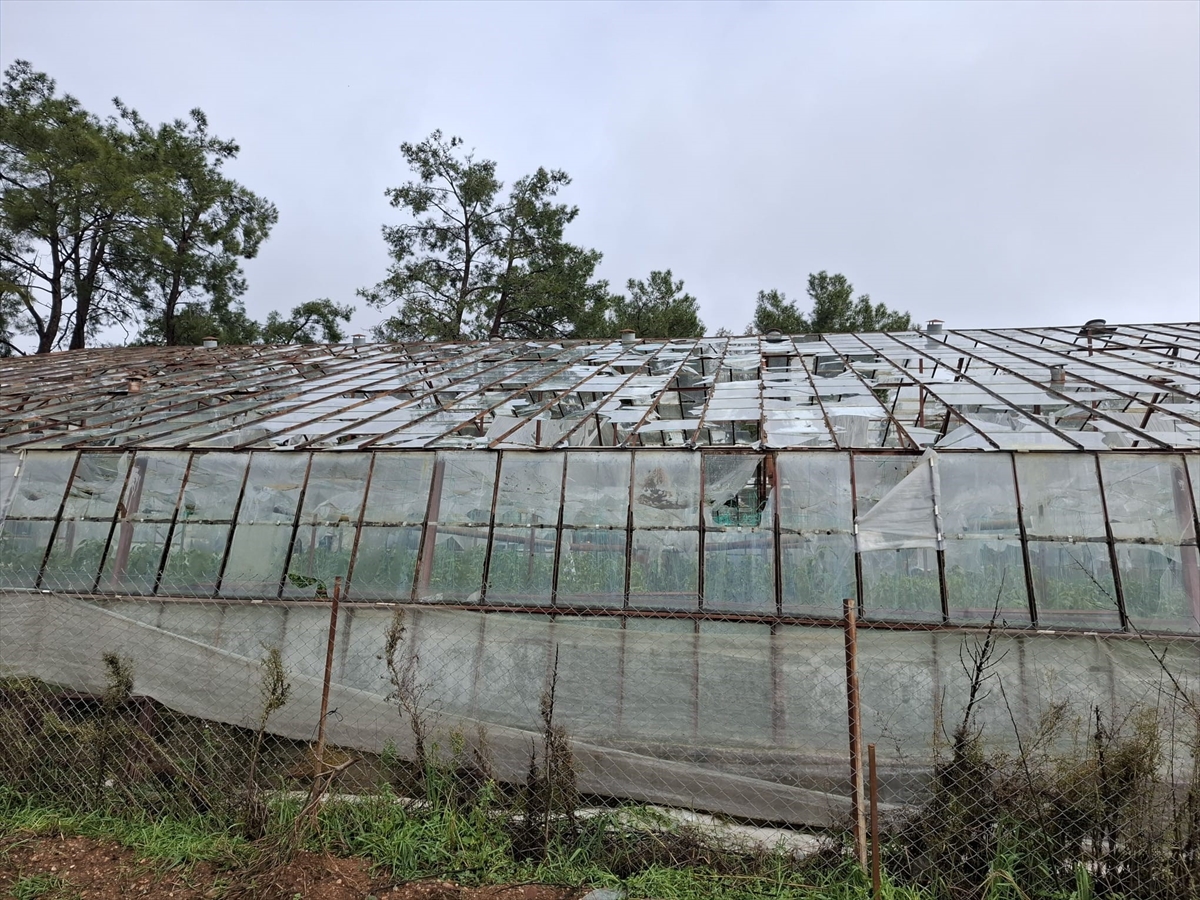 - Hasar dosya işlemleri tamamlanan sigortalı üreticilere 257 milyon lira