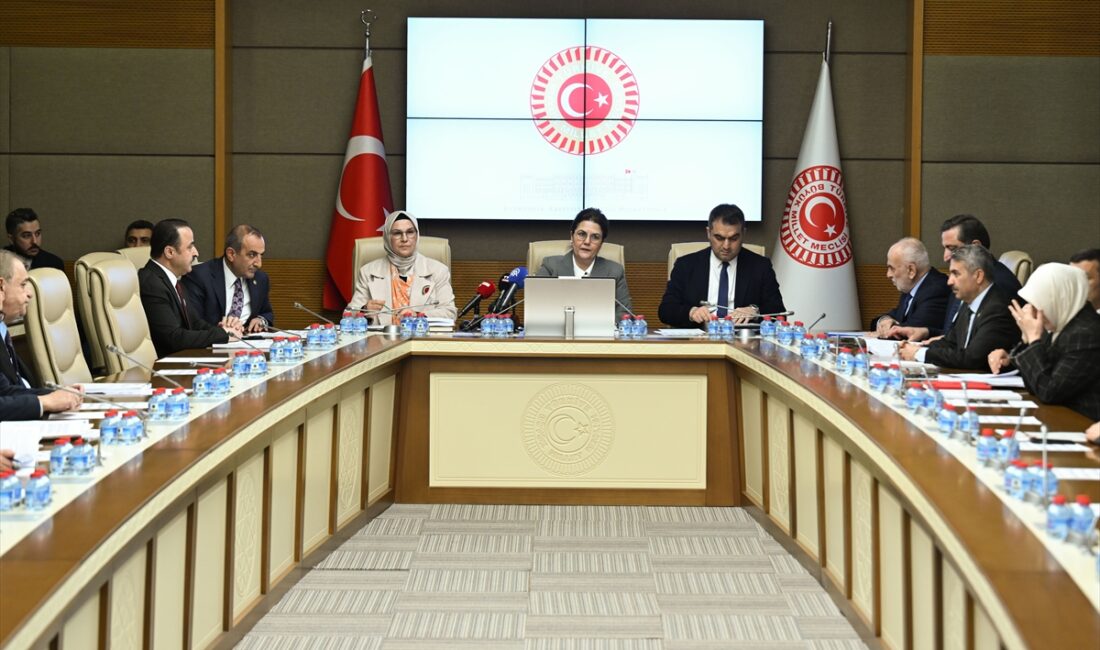 - Komisyonda, "Dijital Mecralarda Çocuklarımızı Bekleyen Tehdit ve Riskler Raporu"