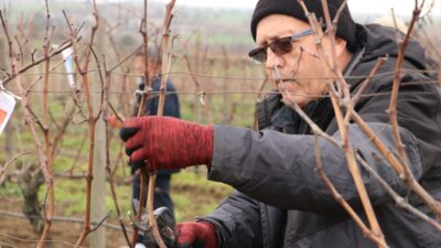 TEKİRDAĞ (AA) – Tekirdağ'da bu yıl ikincisi düzenlenen "Altın Makas