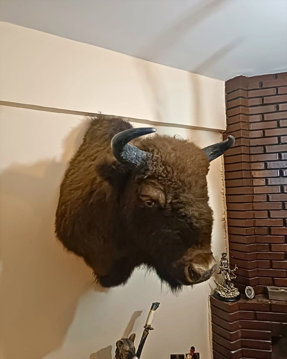 TEKİRDAĞ (AA) – Tekirdağ'ın Saray ilçesinde bir evde, çeşitli yabani