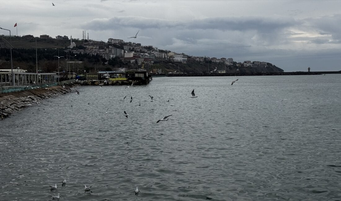 TEKİRDAĞ (AA) – Tekirdağ'da iki gündür süren lodosun etkisini kaybetmesiyle
