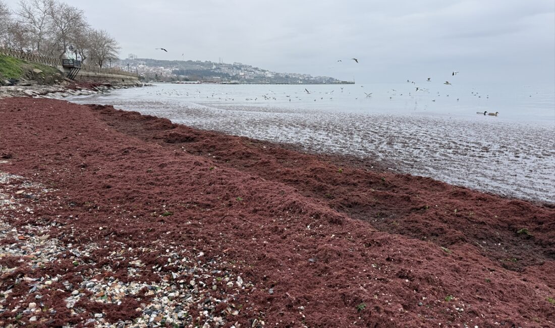 TEKİRDAĞ (AA) – Tekirdağ'da kuvvetli rüzgar nedeniyle sahilin bir kısmında