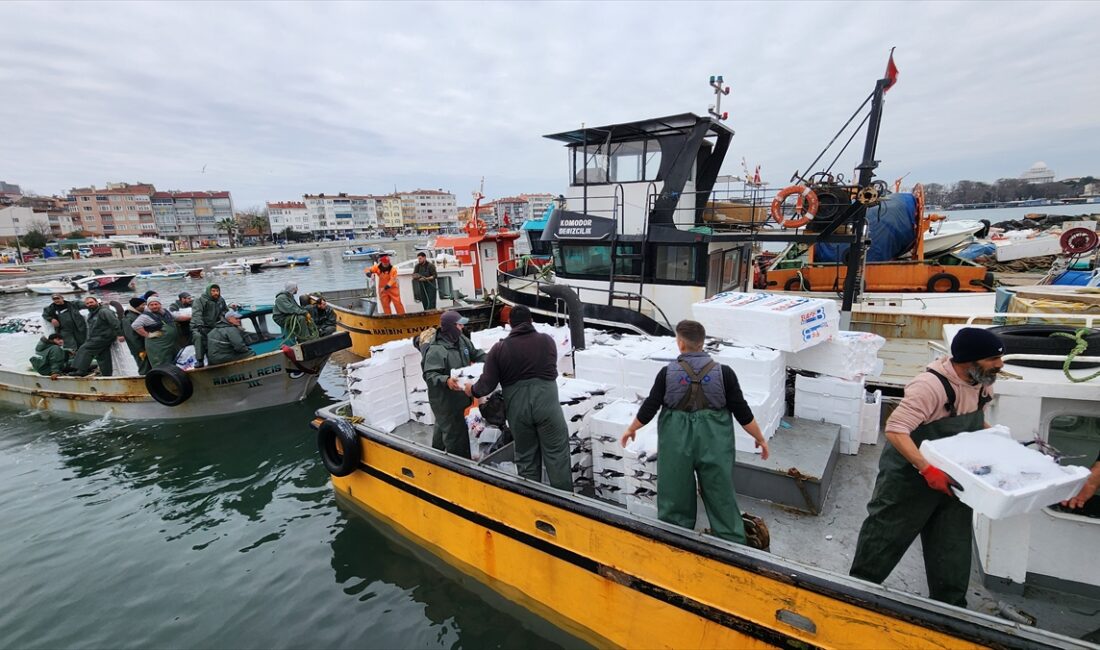 TEKİRDAĞ (AA) – Marmara Denizi'nde avlanmaya devam eden Tekirdağlı balıkçılar,