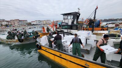 TEKİRDAĞ (AA) – Marmara Denizi'nde avlanmaya devam eden Tekirdağlı balıkçılar,