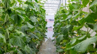 İSTANBUL (AA) – Türk İşbirliği ve Koordinasyon Ajansı Başkanlığı (TİKA),