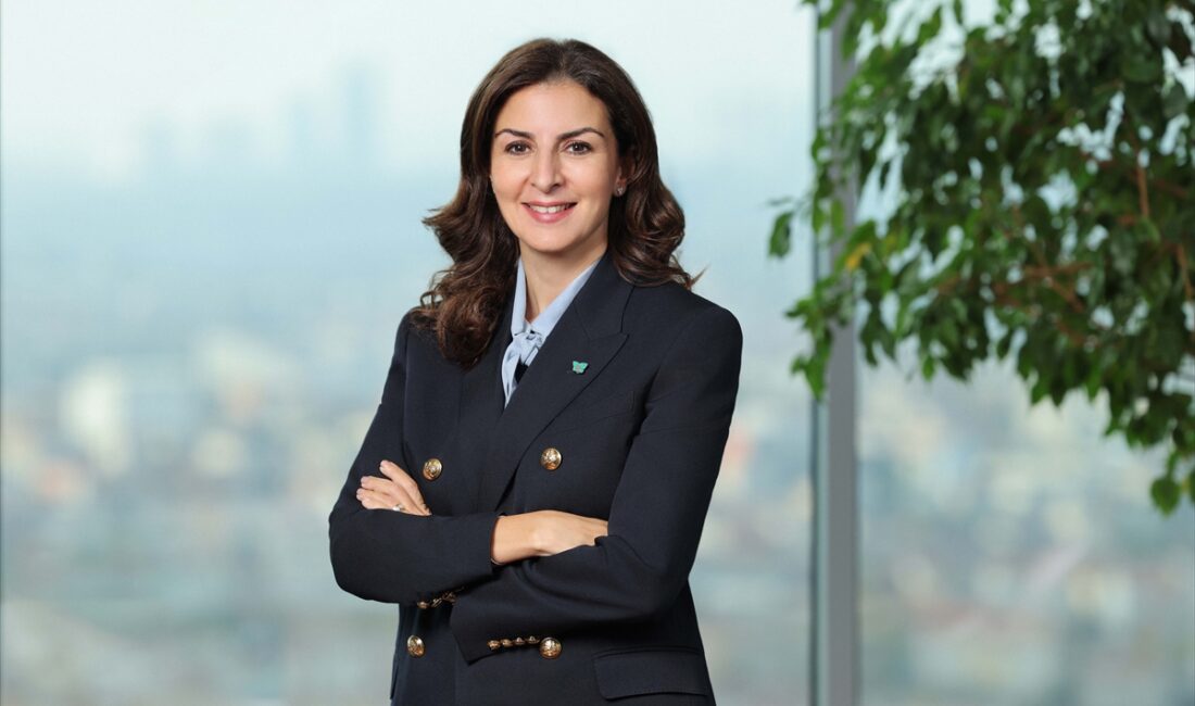 -  Türkiye Finans Katılım Bankası Yönetim Kurulu Üyesi ve