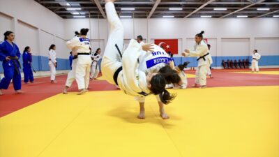 - Genç ve Ümit Kadınlar Judo Milli Takım Teknik Direktörü