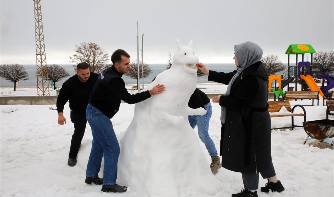 VAN (AA) – Van, Muş, Hakkari ve Bitlis'te olumsuz hava
