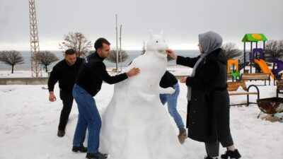 VAN (AA) – Van, Muş, Hakkari ve Bitlis'te olumsuz hava