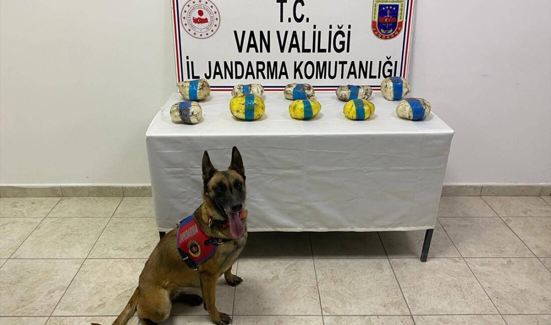 VAN (AA) – Van'ın Tuşba ilçesinde 11 kilo 373 gram