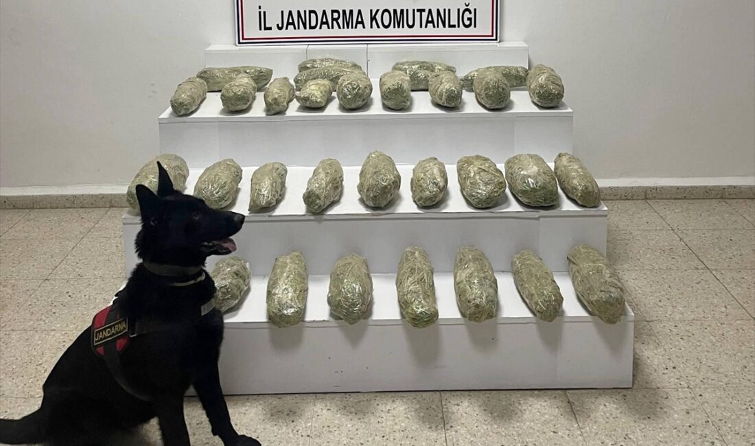 VAN (AA) – Van'ın Başkale ilçesinde 21 kilo 350 gram