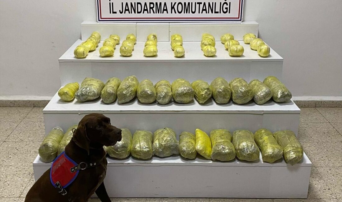 VAN (AA) – Van'ın Başkale ilçesinde 42 kilo 285 gram