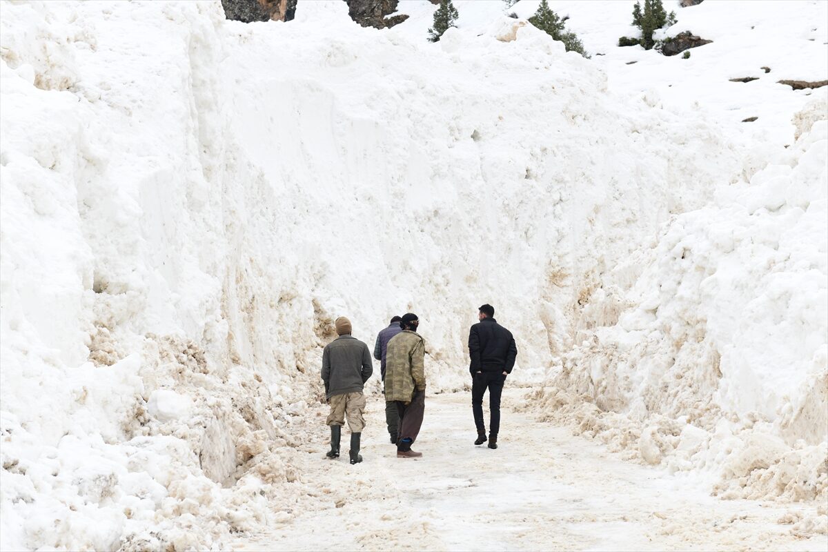 VAN (AA) – Van'ın Çatak ilçesinde çığ nedeniyle 12 gündür