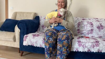 - Antalya'da kuzusunu yanından ayırmayan Meliha Erten:
- "Kuzu öldü ölecek