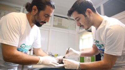 - İzmir'de yaralı bulunan caretta caretta, Muğla'daki Deniz Kaplumbağaları Araştırma,